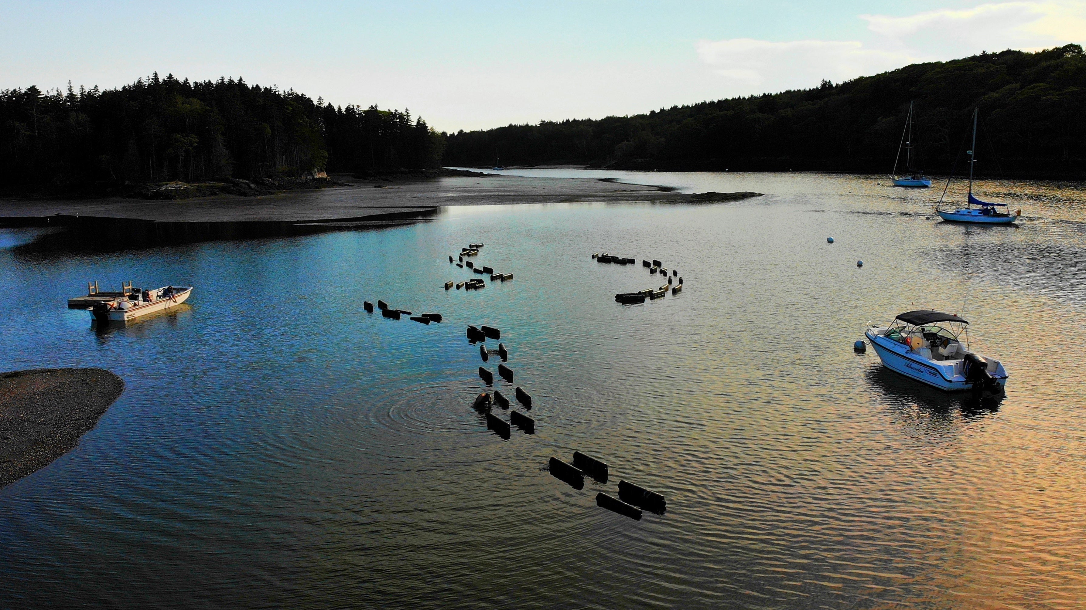 Gift Card: Maine Half-Day Seafood Adventure