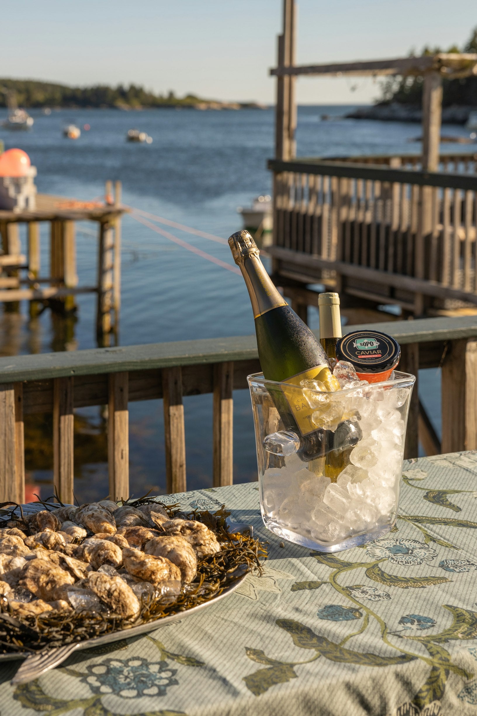 Gift Card: Maine Half-Day Seafood Adventure