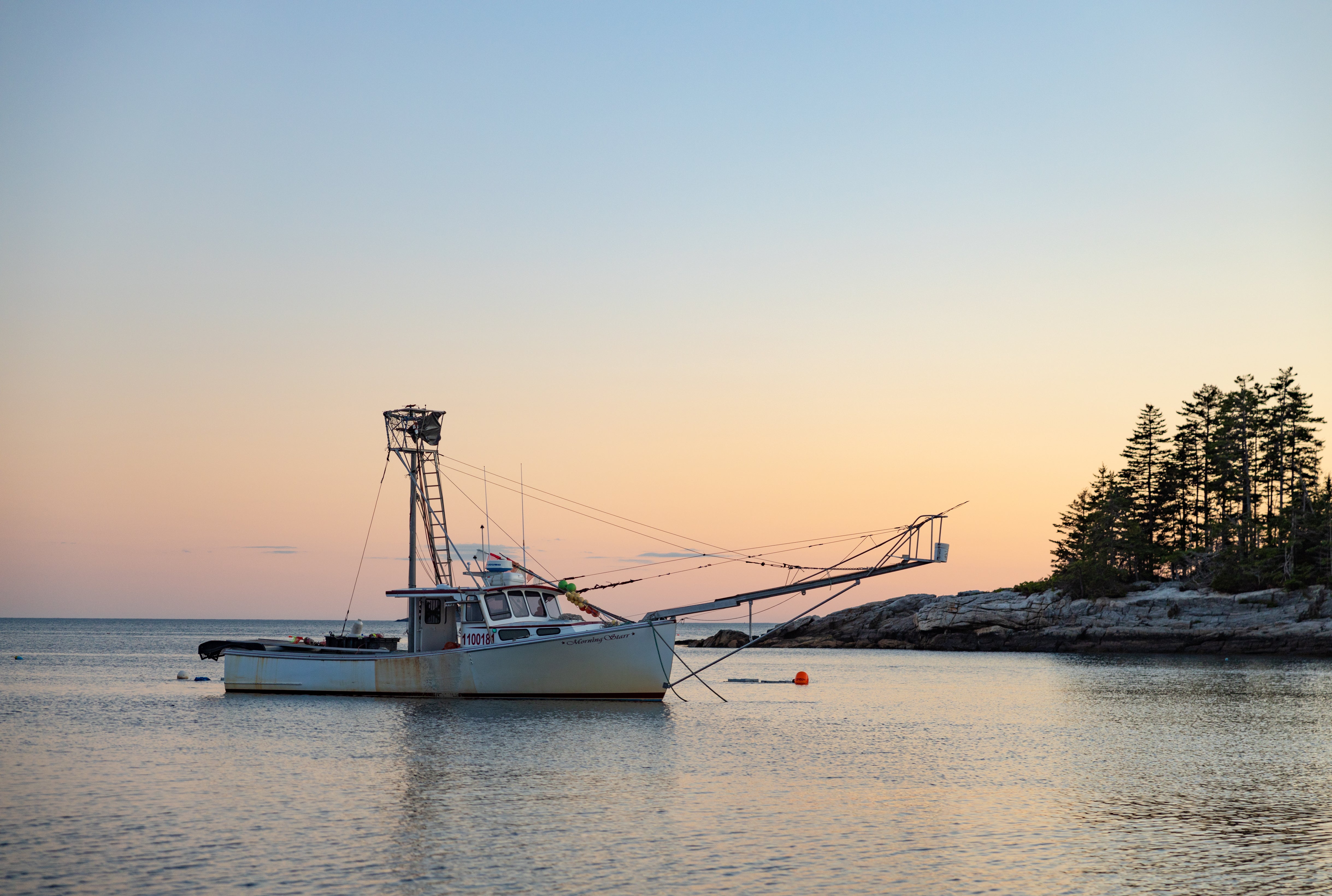 Gift Card: Maine Half-Day Seafood Adventure