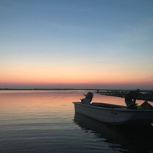 Sunsets on Barnstable Harbor - @moonshoaloysters