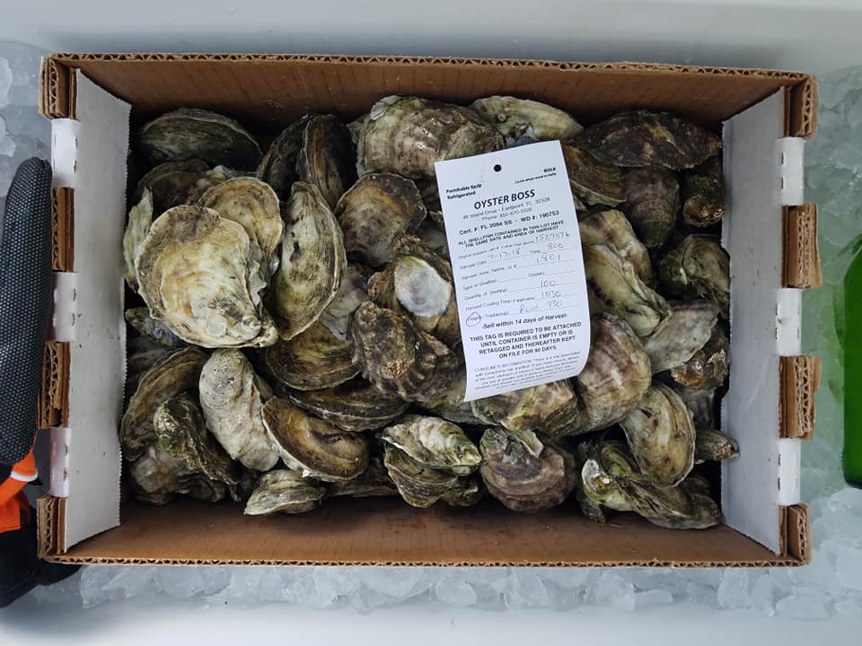 Oyster Boss oysters. Source: Oyster Boss Facebook