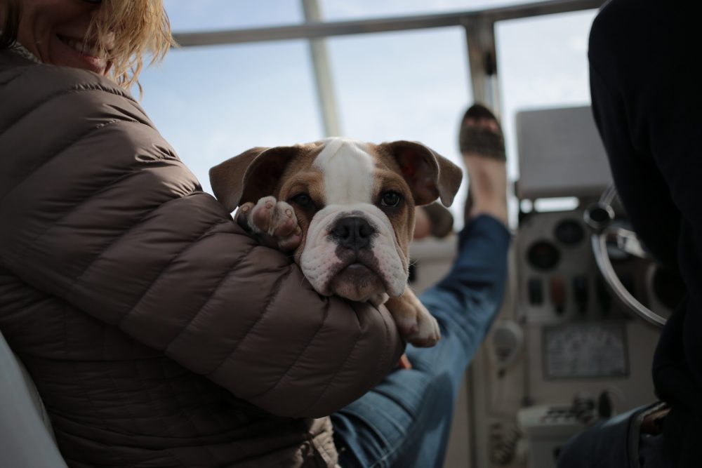Smoodge sitting on Mommy’s lap. Photo credit: Ben Wolven.