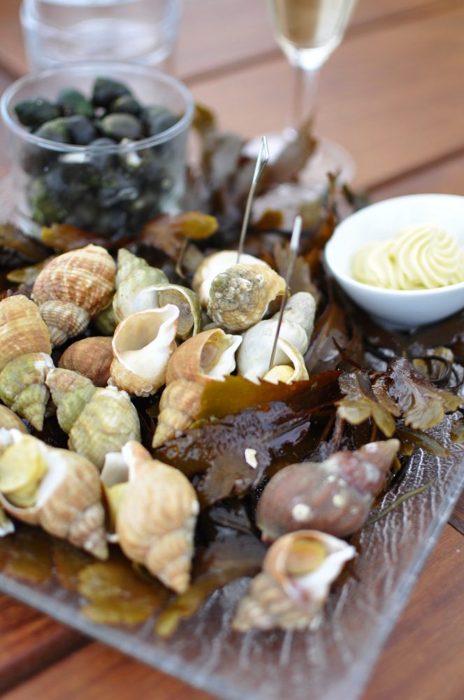 First round: Conch and Snail