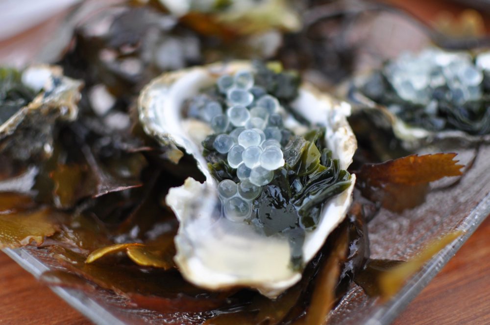 Voisin oysters with Herring roe and Japanese seaweed