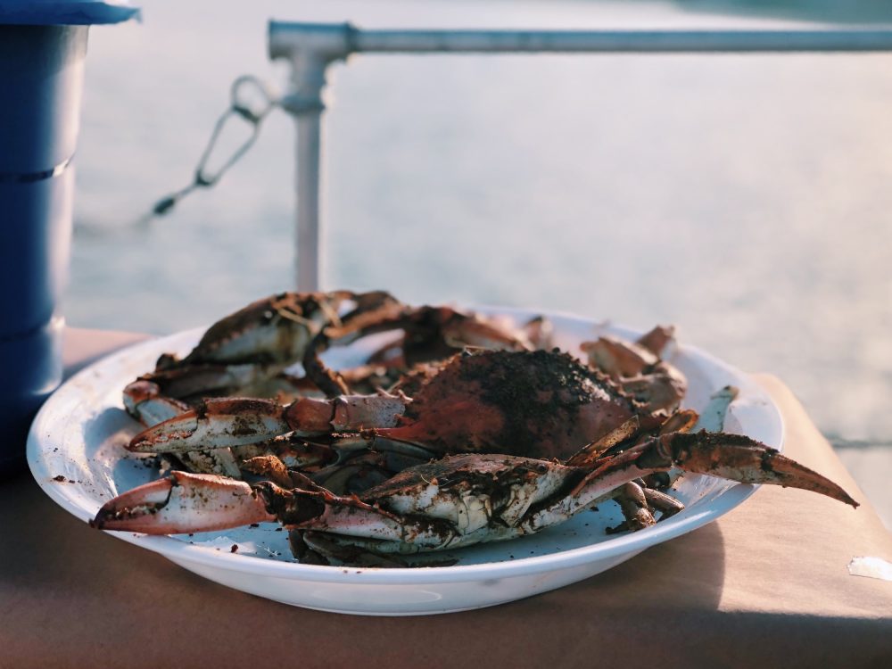 Crab feasts. YUM. Source: www.halfshelladventures.com