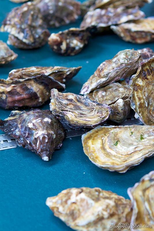 Moyasta Oysters. Source/Photographer: In a Half Shell Blog, Julie Qiu